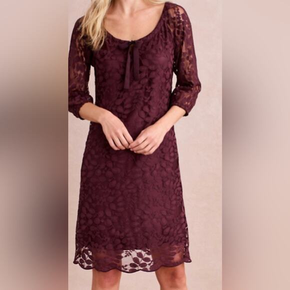 Garnet Hill Dresses & Skirts - Garnet Hill Boheme Easy Lace Dress Mini Deep Mahogany Size 16
